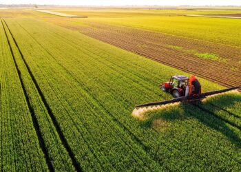 Οι πληρωμές προς τους αγρότες για το 2025 – 600.000 ευρώ περισσότερα από το 2024