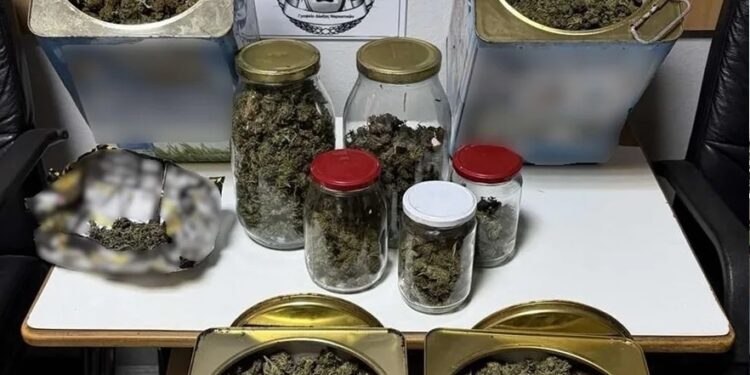 Πέλλα: Βρήκαν στην αυλή του σπιτιού του πάνω από τέσσερα κιλά κάνναβης