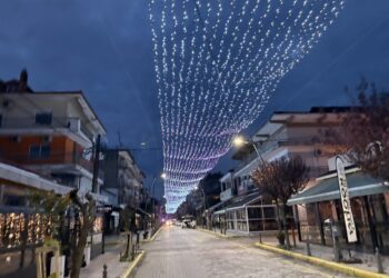 Το εορταστικό ωράριο των καταστημάτων της Αριδαίας