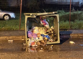 Αριδαία: Αποκαρδιωτική εικόνα στο κέντρο της πόλης το πρωί της Κυριακής