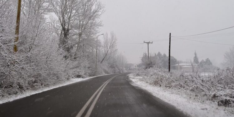 Αλμωπία: Ανοιχτοί όλοι οι δρόμοι μετά τη χιονόπτωση – Εκχιονιστικά μηχανήματα από το πρωί στους δρόμους