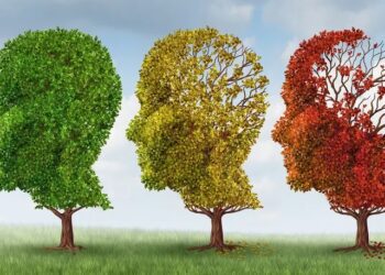 Ενδιαφέρουσα ημερίδα για την άνοια στην Αριδαία: «Η άνοια και η δύναμη της σχέσης φροντιστή – ασθενούς»