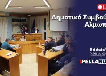 LIVE: Παρακολουθήστε σε ζωντανή μετάδοση τη Συνεδρίαση του Δημοτικού Συμβουλίου Αλμωπίας (ΒΙΝΤΕΟ)