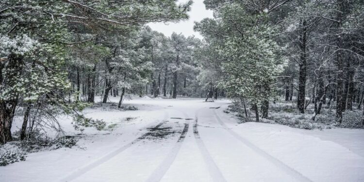 Μαρουσάκης: Έρχεται νέα ψυχρή εισβολή από την Κυριακή – Τσουχτερό κρύο και χιόνια