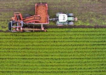 «Πράσινο φως» στη συμφωνία της ΕΕ με την Mercosur για τα αγροτικά προϊόντα