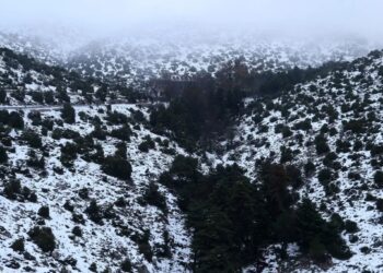 Έρχονται χιόνια και σε χαμηλά υψόμετρα από την Κυριακή – Παγετός και κρύο σε όλη τη χώρα