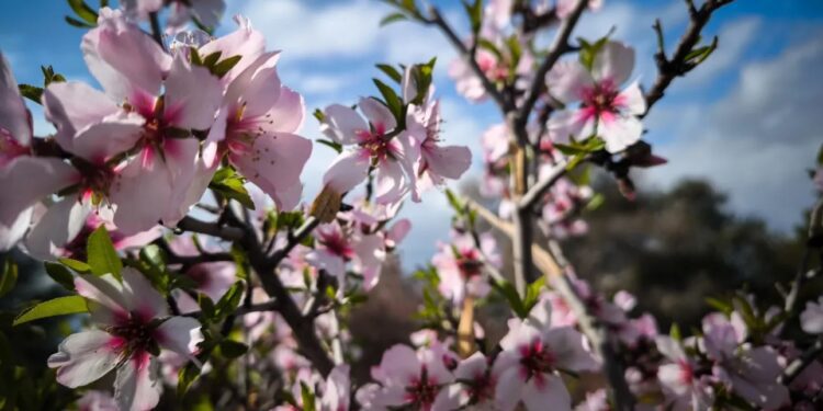 Καιρός: Αίθριος με τοπικές νεφώσεις στα δυτικά – Άνοδος της θερμοκρασίας
