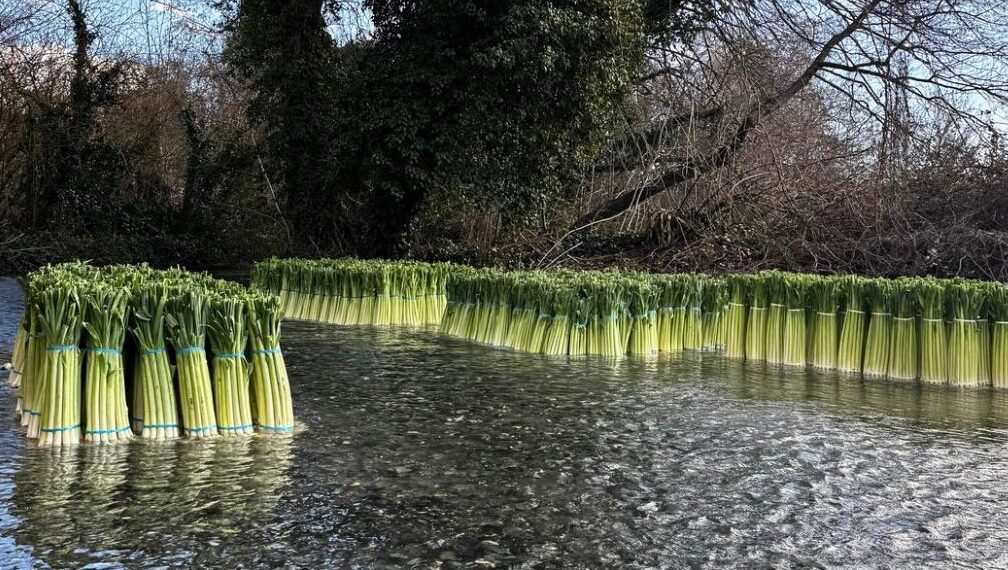 Δωροθέα Αλμωπίας: Μια παράδοση που ρέει… μαζί με το νερό!