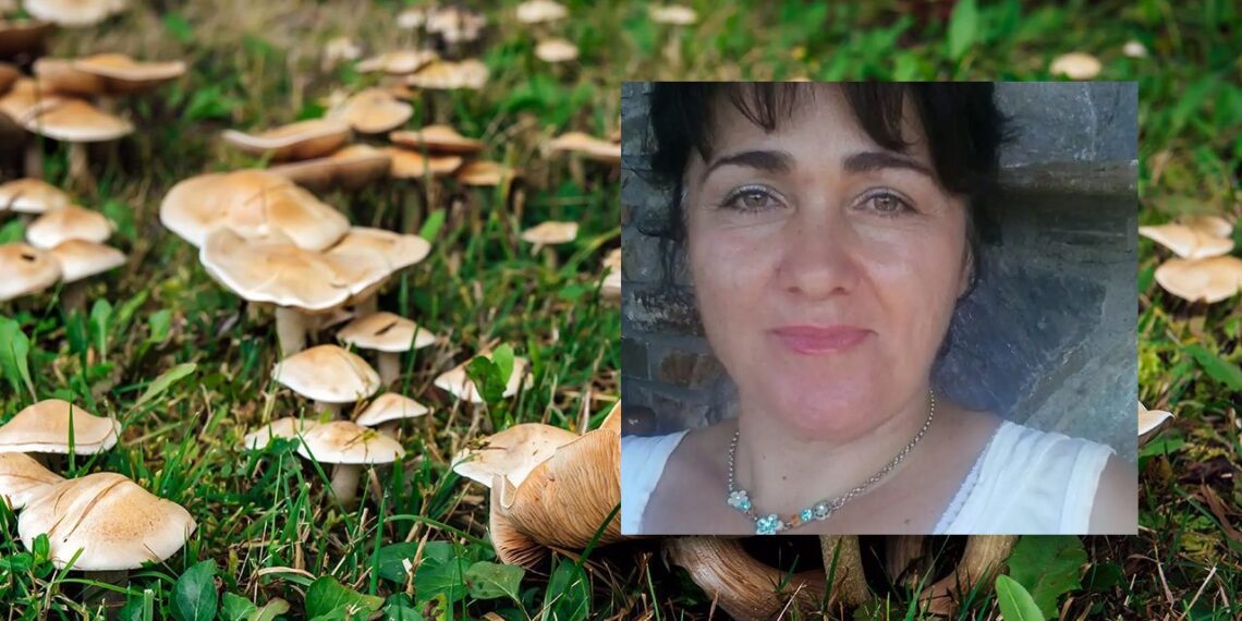 Δηλητηρίαση από μανιτάρια: Πώς σώθηκε το ανδρόγυνο από την Πέλλα