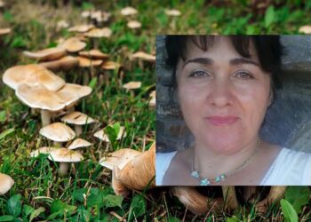 Δηλητηρίαση από μανιτάρια: Πώς σώθηκε το ανδρόγυνο από την Πέλλα
