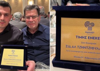 Βράβευση της ΣΙΔ.ΑΛ Τζηντζιφύλλης από το Επιμελητήριο Πέλλας