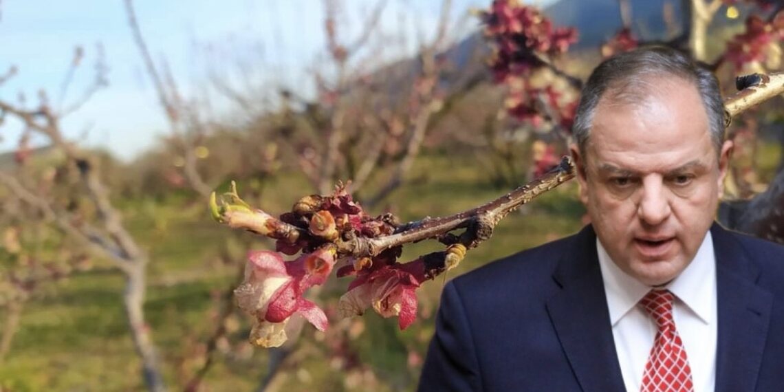 Στο πλευρό αγροτών και κτηνοτρόφων ο Δ. Σταμενίτης: Στο επίκεντρο αποζημιώσεις και στήριξη της κτηνοτροφίας