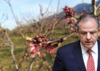 Στο πλευρό αγροτών και κτηνοτρόφων ο Δ. Σταμενίτης: Στο επίκεντρο αποζημιώσεις και στήριξη της κτηνοτροφίας