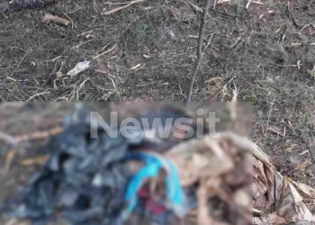 Θρίλερ στη Χαλκιδική: Βρέθηκε σακούλα με ανθρώπινα οστά – Ήταν μέσα σε βαλίτσα