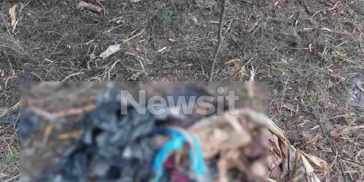Θρίλερ στη Χαλκιδική: Βρέθηκε σακούλα με ανθρώπινα οστά – Ήταν μέσα σε βαλίτσα