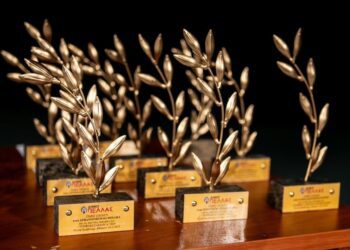 Ο Δήμος Πέλλας βραβεύει αθλητές που διακρίθηκαν το 2025