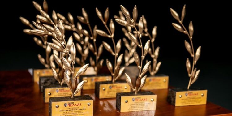 Ο Δήμος Πέλλας βραβεύει αθλητές που διακρίθηκαν το 2025