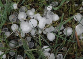 Αρχές Απριλίου πληρώνει ο ΕΛΓΑ για τις ζημιές του 2025