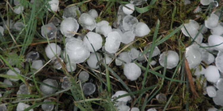 Αρχές Απριλίου πληρώνει ο ΕΛΓΑ για τις ζημιές του 2025