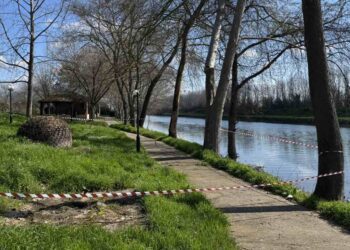 Παρέμβαση του Δήμου Πέλλας για την αποτροπή εξάπλωσης έλκους πλατάνου στο Λουδία