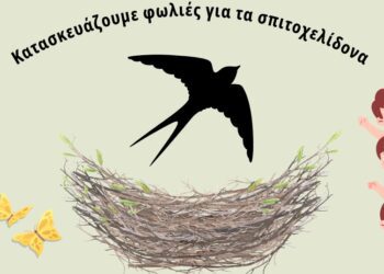 Έδεσσα: Υποδεχόμαστε την άνοιξη και τα χελιδόνια