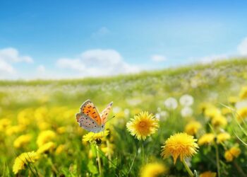 Τα τρία ζώδια που θα δουν μεγάλες και ευχάριστες αλλαγές μέσα στην άνοιξη