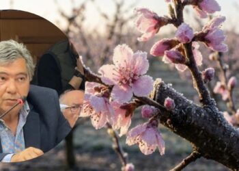 Έθεσε επιτακτικά το θέμα των απλήρωτων κερασοπαραγωγών της Αλμωπίας ο Χρ. Χούρσόγλου