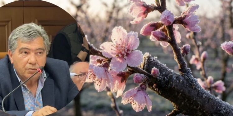 Έθεσε επιτακτικά το θέμα των απλήρωτων κερασοπαραγωγών της Αλμωπίας ο Χρ. Χούρσόγλου