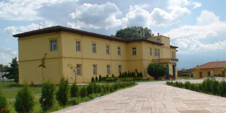 1ο βραβείο στο δημιουργικό διαγωνισμό του Μake a Wish Ελλάδας για το Γυμνάσιο Εξαπλατάνου