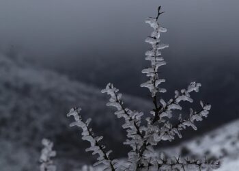 Καλλιάνος: «Θα ξυπνήσουμε με χειμώνα την Πρωτομαγιά» – Τοπικές χιονοπτώσεις στα ηπειρωτικά