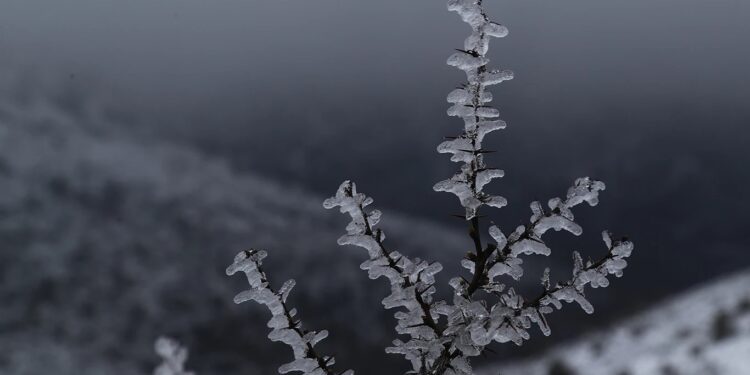 Καλλιάνος: «Θα ξυπνήσουμε με χειμώνα την Πρωτομαγιά» – Τοπικές χιονοπτώσεις στα ηπειρωτικά