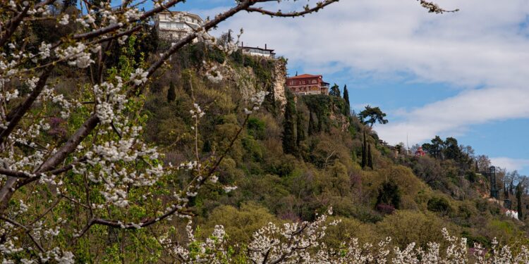 Έδεσσα: Οι Κερασιές θα ανθίσουν και φέτος