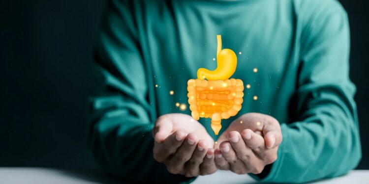 Υγεία του εντέρου: Αν είστε πάνω από 50 αυτές οι 7 πρακτικές συνήθειες κάνουν τη διαφορά