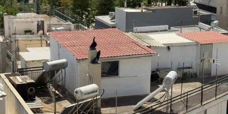 Σε αυτό το δώμα και μέσα σε ακαθαρσίες έμεναν τα 6 παιδιά με τους γονείς τους