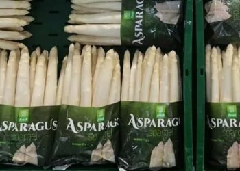 Τα σπαράγγια της Αλμωπίας κατακτούν την Ευρώπη