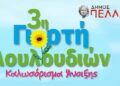 Την Κυριακή τα εγκαίνια της 3ης Γιορτής Λουλουδιών στα Γιαννιτσά – Αναβολή λόγω καιρικών συνθηκών