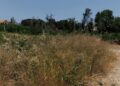 Τέλος χρόνου για τα ακαθάριστα οικόπεδα: Λήγει σήμερα η προθεσμία – Τι πρέπει να κάνουν οι ιδιοκτήτες