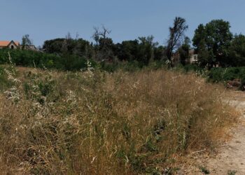 Τέλος χρόνου για τα ακαθάριστα οικόπεδα: Λήγει σήμερα η προθεσμία – Τι πρέπει να κάνουν οι ιδιοκτήτες