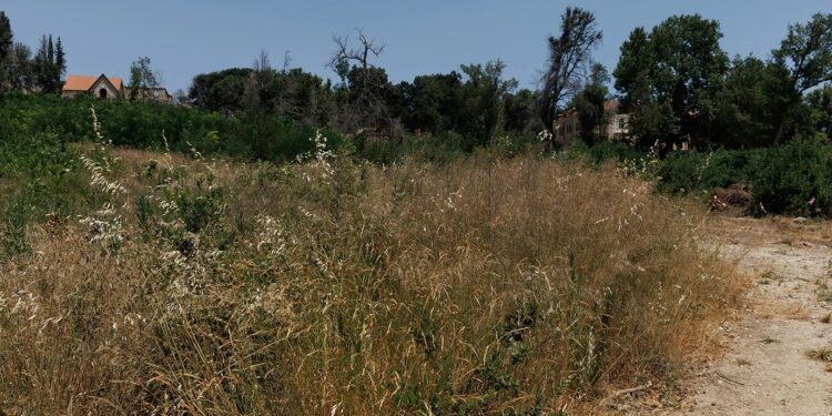 Τέλος χρόνου για τα ακαθάριστα οικόπεδα: Λήγει σήμερα η προθεσμία – Τι πρέπει να κάνουν οι ιδιοκτήτες