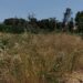 Τέλος χρόνου για τα ακαθάριστα οικόπεδα: Λήγει σήμερα η προθεσμία – Τι πρέπει να κάνουν οι ιδιοκτήτες
