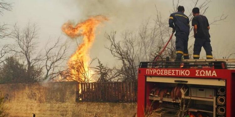 Τσουχτερά πρόστιμα για φωτιές σε Χαλκιδική και Πέλλα