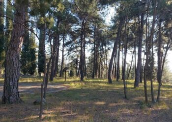 Απαγόρευση κυκλοφορίας στο Δάσος – Πάρκο της Έδεσσας λόγω υψηλού κινδύνου πυρκαγιάς