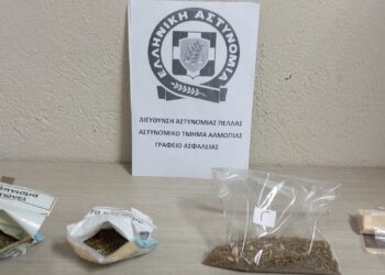 Συνελήφθησαν δύο άτομα στην Αλμωπία για καλλιέργεια δενδρυλλίων κάνναβης