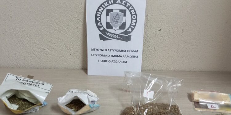 Συνελήφθησαν δύο άτομα στην Αλμωπία για καλλιέργεια δενδρυλλίων κάνναβης