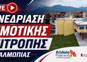 LIVE: Παρακολουθήστε σε ζωντανή μετάδοση τη Συνεδρίαση της Δημοτικής Επιτροπής Αλμωπίας