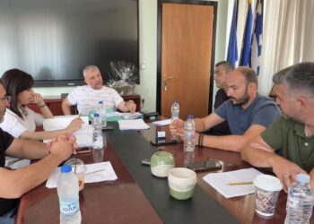 Αλμωπία: Τι αλλάζει στην καθημερινότητα των πολιτών με τους πολυετείς διαγωνισμούς – Όσα ειπώθηκαν στη Δημοτική Επιτροπή