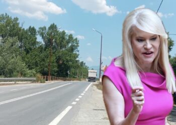 Θ. Τζάκρη: Να επισκευαστεί άμεσα η γέφυρα του Λουδία με τη διαδικασία του κατεπείγοντος