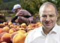 Δ. Σταμενίτης: Έρχεται νέα παράταση για τη μετάκληση εργατών γης