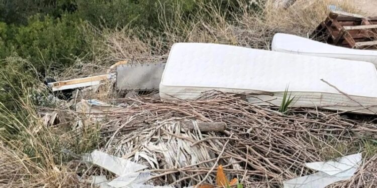 Σκύδρα: Πρόστιμο 875 ευρώ σε αλλοδαπό για απόρριψη καυστών υλικών σε δασική έκταση