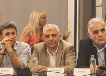 Ν. Παρούτογλου: «Οι προτεραιότητες της Αλμωπίας είναι ξεκάθαρες και οι προτάσεις μας έχουν κατατεθεί»